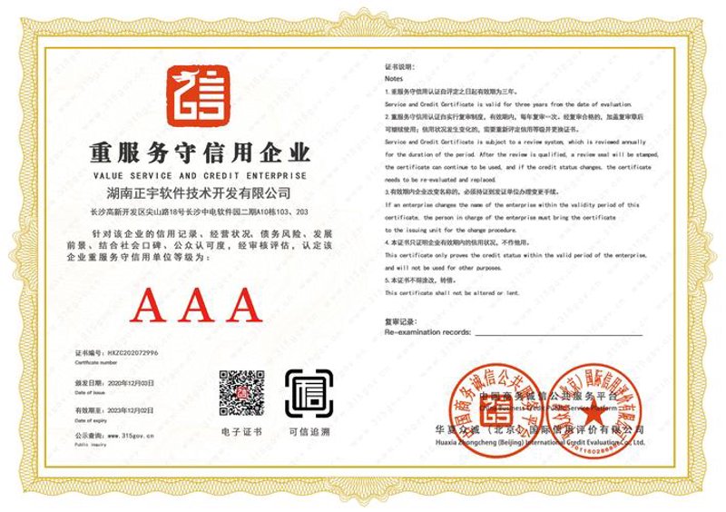 软件开发：湖南的数字脉动